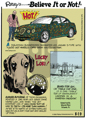 Ripley's Believe It or Not on Wednesday August 19, 2020 Comic Strip