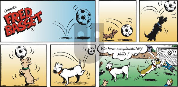 Fred Basset - Sunday April 16, 2023 Comic Strip