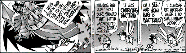 Rose is Rose on Sunday July 27, 2003 Comic Strip
