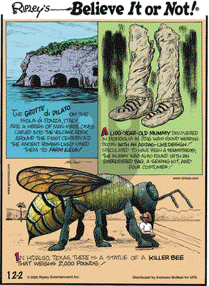 Ripley's Believe It or Not on Wednesday December 2, 2020 Comic Strip