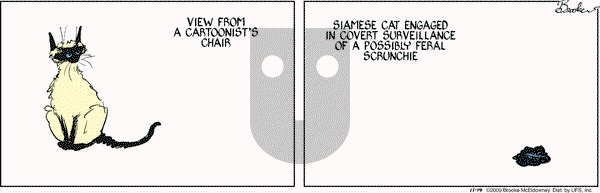 9 Chickweed Lane on Saturday November 14, 2009 Comic Strip