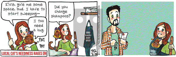 Breaking Cat News on Wednesday June 26, 2019 Comic Strip