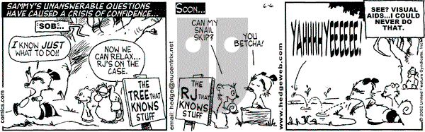 Over the Hedge on Thursday June 6, 2002 Comic Strip