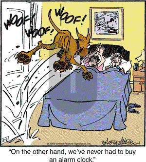 Marmaduke on Monday February 9, 2009 Comic Strip