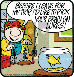Ziggy - Friday November 8, 2024 Comic Strip