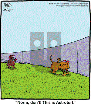 In the Bleachers on Saturday August 18, 2018 Comic Strip