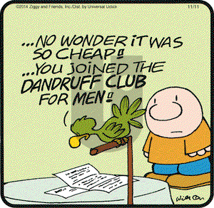 Ziggy on Tuesday November 11, 2014 Comic Strip