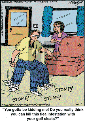 Close to Home on Tuesday October 1, 2013 Comic Strip
