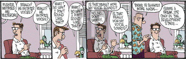 Monty on Tuesday May 6, 2025 Comic Strip