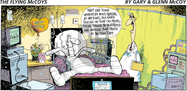 The Flying McCoys on Sunday February 15, 2009 Comic Strip