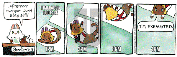 Breaking Cat News - Saturday August 12, 2017 Comic Strip