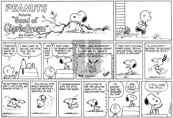 Peanuts on Sunday December 31, 1972 Comic Strip