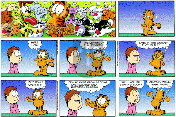 Garfield - Sunday August 1, 2004 Comic Strip