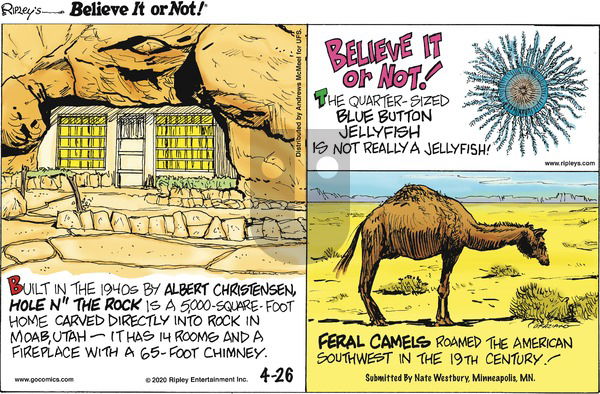Ripley's Believe It or Not on Sunday April 26, 2020 Comic Strip