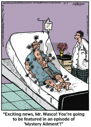 Close to Home on Saturday November 1, 2025 Comic Strip