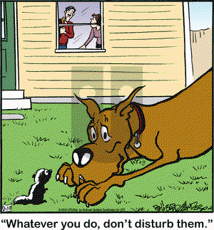 Marmaduke on Monday February 10, 2020 Comic Strip