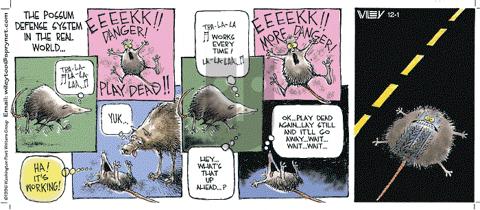 Non Sequitur on Sunday December 1, 1996 Comic Strip