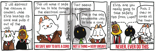 Breaking Cat News on Tuesday April 24, 2018 Comic Strip