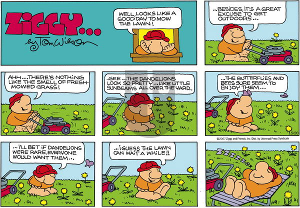 Ziggy on Friday May 25, 2007 Comic Strip
