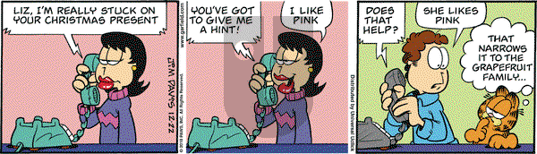 Garfield on Wednesday December 22, 2010 Comic Strip