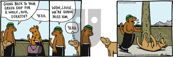 Overboard on Wednesday November 28, 2018 Comic Strip