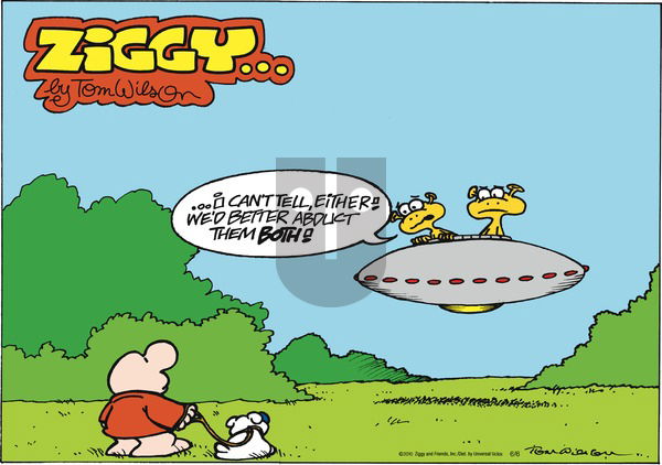 Ziggy on Sunday June 6, 2010 Comic Strip