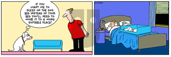 Crumb on Tuesday June 24, 2025 Comic Strip