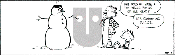 Calvin and Hobbes - Tuesday January 4, 1994 Comic Strip