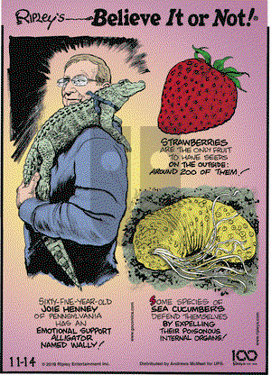 Ripley's Believe It or Not on Thursday November 14, 2019 Comic Strip