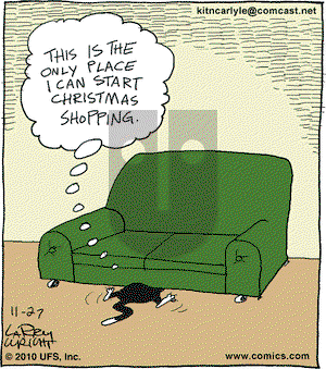 Kit 'N' Carlyle on Saturday November 27, 2010 Comic Strip