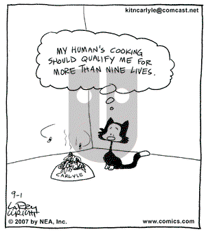 Kit 'N' Carlyle on Friday October 5, 2007 Comic Strip