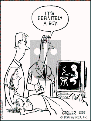 Moderately Confused on Saturday June 26, 2004 Comic Strip