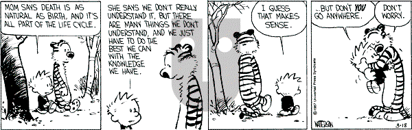 Calvin and Hobbes - Wednesday March 18, 1987 Comic Strip