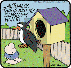 Ziggy on Tuesday June 25, 2019 Comic Strip