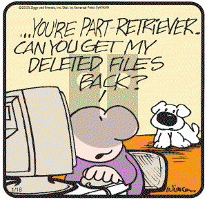 Ziggy on Wednesday January 16, 2008 Comic Strip