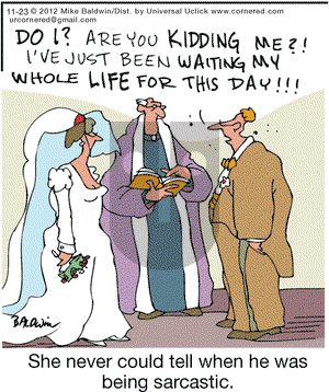 Cornered on Friday November 23, 2012 Comic Strip