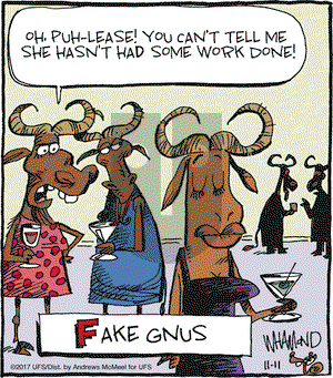 Reality Check on Saturday November 11, 2017 Comic Strip
