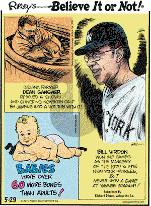 Ripley's Believe It or Not on Friday May 29, 2015 Comic Strip