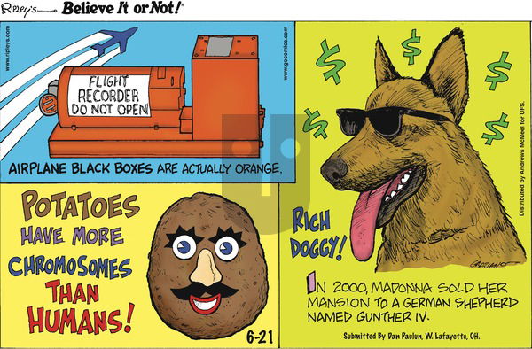 Ripley's Believe It or Not on Sunday June 21, 2020 Comic Strip