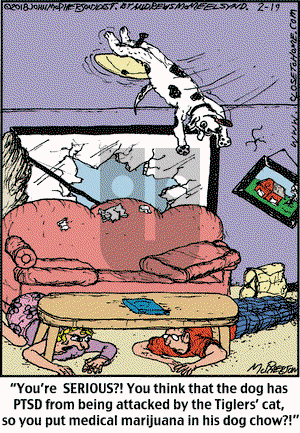 Close to Home on Monday February 19, 2018 Comic Strip