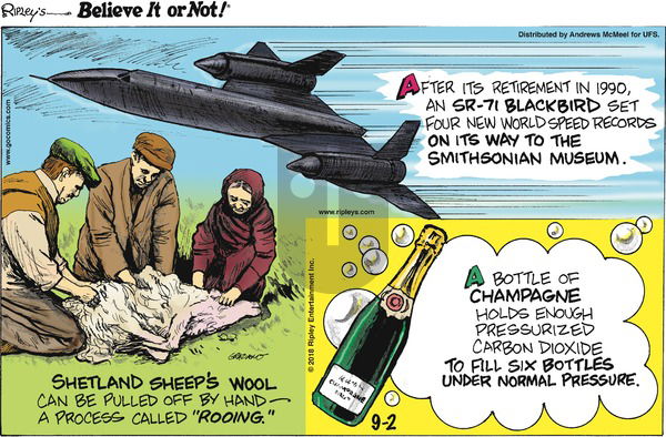 Ripley's Believe It or Not on Sunday September 2, 2018 Comic Strip