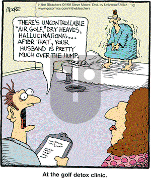 In the Bleachers on Saturday January 2, 2016 Comic Strip