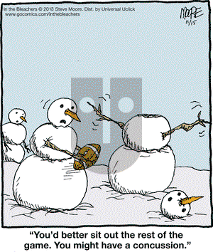 In the Bleachers on Friday November 15, 2013 Comic Strip