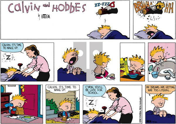 Calvin and Hobbes - Sunday November 29, 1987 Comic Strip