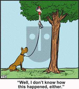Marmaduke on Monday May 12, 2025 Comic Strip