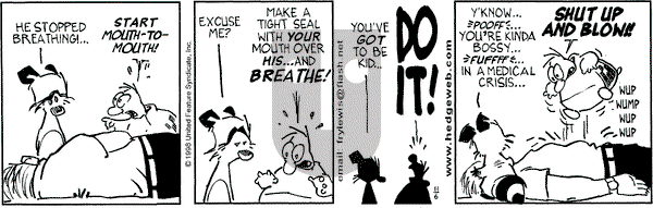 Over the Hedge on Friday November 6, 1998 Comic Strip