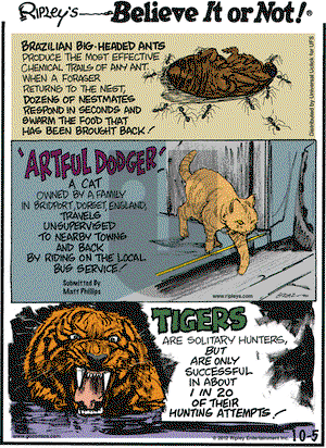 Ripley's Believe It or Not on Friday October 5, 2012 Comic Strip