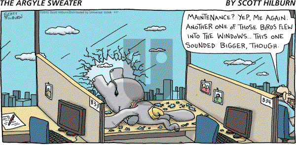 The Argyle Sweater on Sunday June 27, 2010 Comic Strip