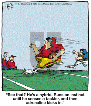 In the Bleachers - Thursday November 25, 2010 Comic Strip