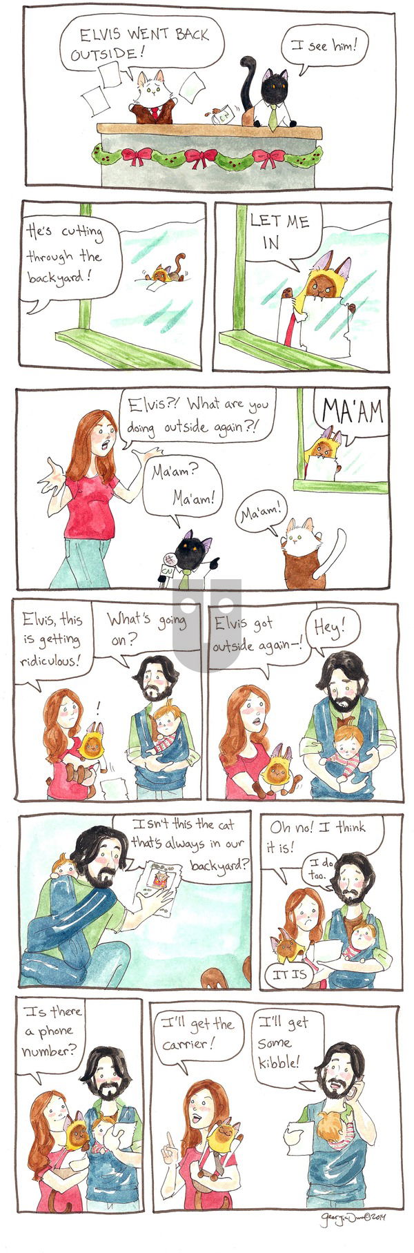 Breaking Cat News on Sunday November 13, 2016 Comic Strip